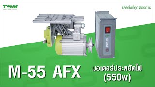 TSM M-55 (AFX) มอเตอร์ประหยัดไฟ (550w)