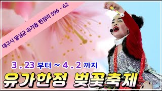 #2023년#3월28일#닐리리#공주#화요일#대구유가한정#벚꽃축제#음악생방송