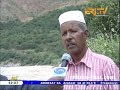 eritrea tv zena gindah orange farm ato mahmoud