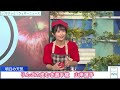 【山岸愛梨】りんごの皮むき選手権！後半はりんごを選べないけど、靴脱いで本気モードの山岸キャスター