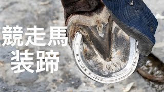 競走馬の装蹄作業#48/ Horse shoeing