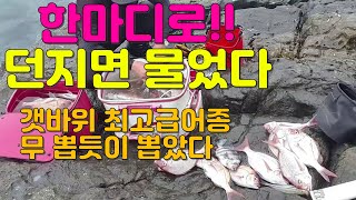 갯바위 (쉴새 없이 올라온다) (여름철 대표어종 무뽑듯이 뽑았다)낚시의 채비법및  포인트 설명