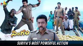 Suriya's Most Powerful Action | Singam | Anushka, Hansika | Hari | Telugu Movie Actions Scenes