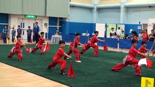 20180519 龍武館~公開小學組初級刀術A隊亞軍 (2018全港公開新秀武術錦標賽) HD