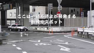 【警察】ブッチギリ049 一時不停止の車を捕える白黒パトカー