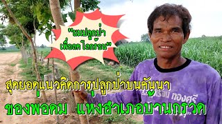 ผมปลูกต้นไม้เพื่อลดโลกร้อน สุดยอดแนวคิดการปลูกป่าบนคันนา ของพ่อดม แห่งอำเภอบ้านกรวด