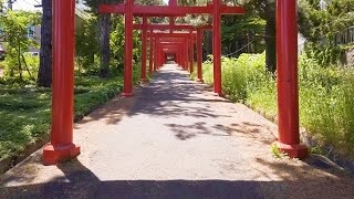 DJI Osmo Pocket【札幌伏見稲荷神社】Walk around Sapporo Fushimi Inari Shrine