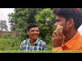 ଦଶରା ଦେଖା dasara dekha koraputia comedy video new desia comedy nabarangapuria comedy video