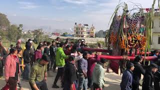 After 35 years Satungal bishnu devi machhe gaun jadai