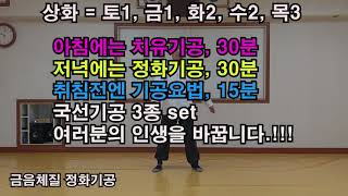 2. 금음체질 정화기공 ( 바라는 대로 원하는 대로 행하는 대로 이루어지는  기공법)