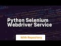 python selenium webdriver service