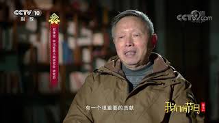 [我们的节日-2020春节]故事二：春节文化之乡| CCTV科教