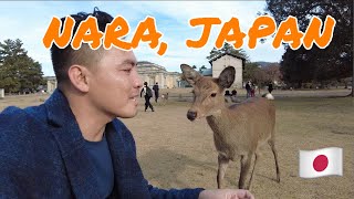 Japan Vlog 10: TRAVELING TO NARA JAPAN