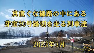 真直ぐな線路の中にある芽室30号踏切を走る列車達　2023年3月（特急おおぞら・特急とかち・DECMO・DF200）