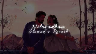 Niluvadham - ( Slowed + Reverb ) || Karthik || Sumangali || Telugu Songs