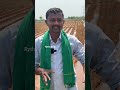 summer cotton cultivation వేసవిలో పత్తి సాగు shorts