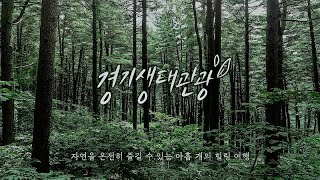 1분 동안 ⭐초록빛 힐링 여행지 9곳⭐ 득템 가능! I 자연을 온전히 즐길 수 있는 경기도 여행지, 경기생태관광으로 초대합니다💚