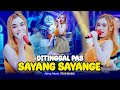 Ajeng Febria - Ditinggal Pas Sayang Sayange (Official Live Music) NIRWANA COMEBACK | STAR MUSIC