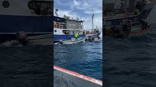 Delivery of TWRP materials in Ta Island in the Mortlocks region #chuukese #chuuk