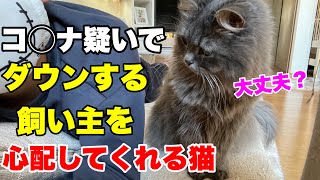 【感動】コ◯ナ陽性疑いで体調不良の飼い主の横で寄り添ってくれる心優しい猫に涙です🥲。