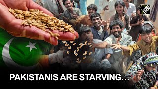 Pakistan flour crisis worsens; prices skyrocket amidst wheat shortage, stampedes reported