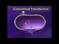 bacterial transduction transduction in bacteria