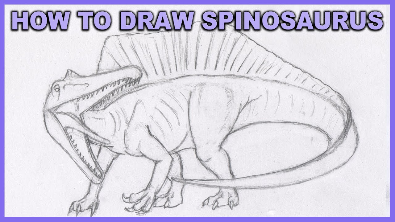 How To Draw Spinosaurus Step By Step Tutorial - QUADPEDAL STYLE - YouTube