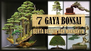 7 GAYA BONSAI YANG PALING MENDUNIA\