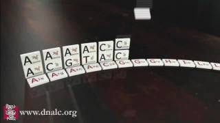 Triplet Code