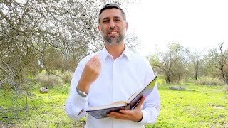 Bitachon 193 - Learn Torah Get Bitachon