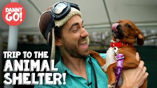 Animal Shelter Field Trip 🐶🐱 | Dog Videos For Kids | Danny Go!