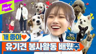 [EN] ⚠감동 주의⚠ 개천재 이미주🐾 봉사하다 눈물 흘린 이유는?💦 | 미주 | MIJOO | 런웨이2 | LEARN WAY 2 | EP.28