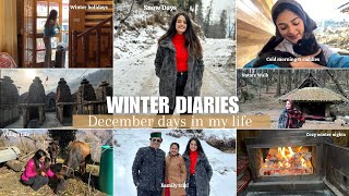 WINTER DIARIES❄️: december days, short trips, snowfall, village life & more ! Garima Verma