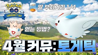 토게피 이로치 얻는법? 4월 토게틱 커뮤니티데이 완벽 정리 [포켓몬고]