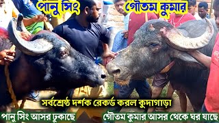 গৌতম কুমার বনাম পানু সিং || গৌতম কুমারের কাড়া হেরে যাওয়ার পর অবস্থাটা দেখুন || SINGH IS KING