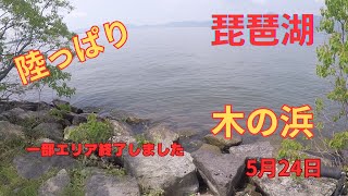 【琵琶湖バス釣り】琵琶湖南湖木の浜現在状況