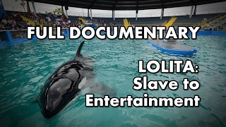 Lolita: Slave to Entertainment | Full documentary