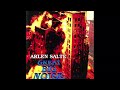 arlen salte – take me through the fire