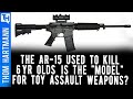 Are Gun Makers Making AR-15 Assault Weapons for Kids?