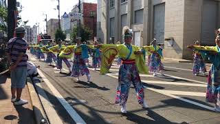 よさこい縁連〜彩翔〜 銭形よさこい2018 駅通会場