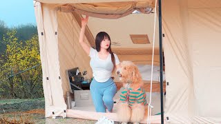 A cozy camping night in the forest where spring has come, rolling around with a dog / Camping ASMR /