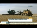 global grain harvest to reach record high kazakh tv