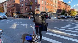 NYC LIVE Walking Greenpoint, Brooklyn to Support Best Donut Shop \u0026 Vinyl Record Stores Part 3