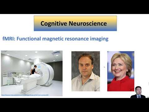 What is the neuroscience approach?