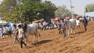 🛑గద్వాల జిల్లా చాగదోని 3 బండ్లు పోటీ 2025// జత 8