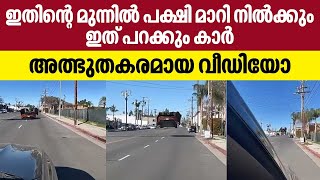 Flying Car viral video| ഇതിന്റെ മുന്നില്‍ പക്ഷി മാറി നിൽക്കും, ഇത് പറക്കും കാര്‍, അത്ഭുതകരമായ വീഡിയോ