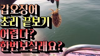 [훅킹TV] 갑오징어 까다로운 입질패턴 초리 끝보기로 한번 보고 가실게요