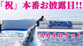 スカイロケット初披露!! 鴨川シーワールド シャチショー KamogawaSeaWorld