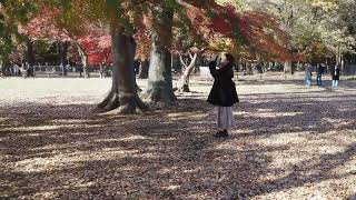 紅葉散歩　代々木公園　2024/12/07 a4