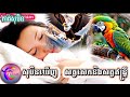 សុបិនឃើញសត្វសេកនិងសត្វឥន្ទ្រី_@សុបិន dream